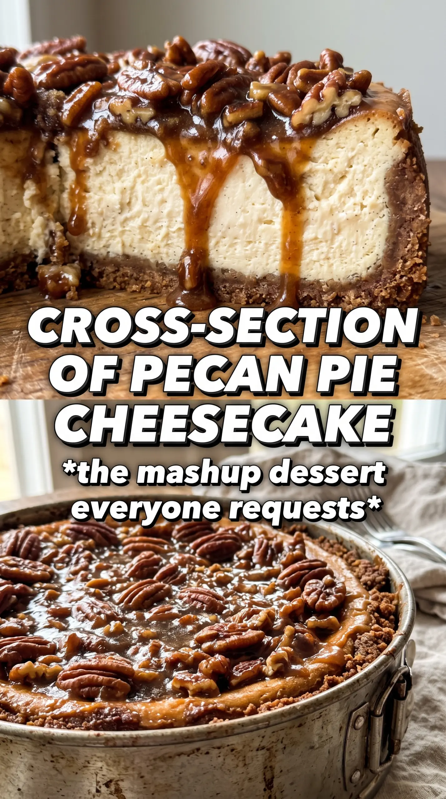 Pecan pie cheesecake creamy pecan topping
